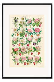 Gerahmter Kunstdruck Wildblumen, Fig. 401-420