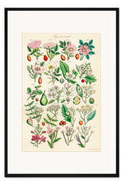 Gerahmter Kunstdruck Wildblumen, Fig. 421-440