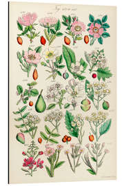 Magnettafel Wildblumen, Fig. 421-440