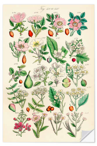 Muursticker Wilde bloemen, fig. 421-440