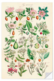 Wall sticker Wildflowers, fig. 421-440