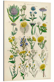 Aluminium print Wildflowers , fig. 621-640