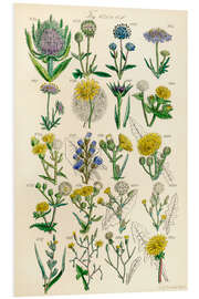 Foam board print Wildflowers , fig. 621-640