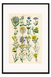 Gerahmter Kunstdruck Wildblumen, Fig. 621-640