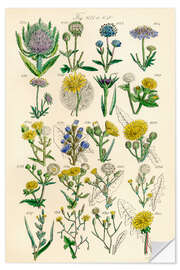 Självhäftande poster Vilda blommor, fig. 621-640