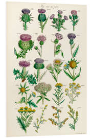 Foam board print Wildflowers, fig. 681-700