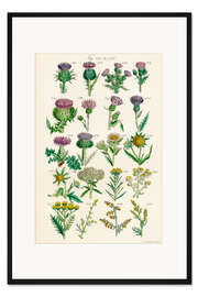 Gerahmter Kunstdruck Wildblumen, Fig. 681-700