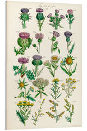 Magnettafel Wildblumen, Fig. 681-700