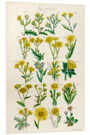 Foam board print Wildflowers, fig. 721-740