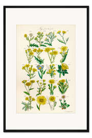 Gerahmter Kunstdruck Wildblumen, Fig. 721-740