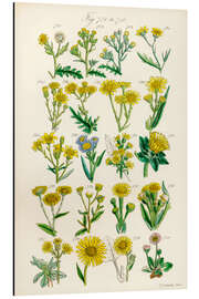 Magnettafel Wildblumen, Fig. 721-740