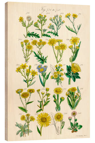 Holzbild Wildblumen, Fig. 721-740