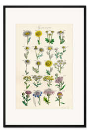 Gerahmter Kunstdruck Wildblumen, Fig. 741-760