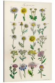 Magnettafel Wildblumen, Fig. 741-760