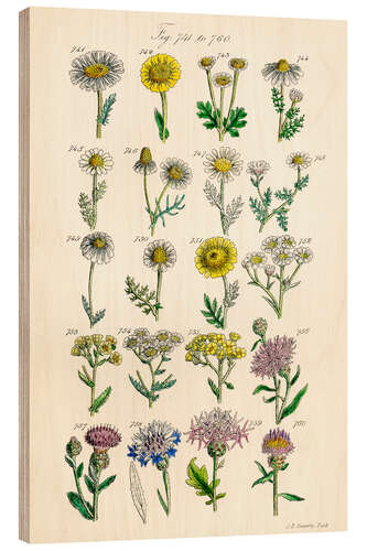 Tableau en bois Fleurs sauvages, fig. 741-760