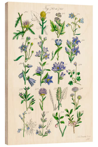 Wood print Wildflowers, fig. 761-780