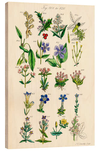 Wood print Wildflowers, fig. 801-820