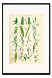 Gerahmter Kunstdruck Wildblumen, Fig. 1581-1600