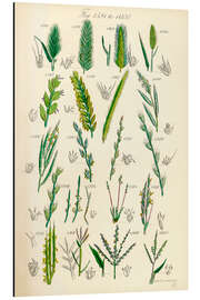 Magnettafel Wildblumen, Fig. 1581-1600