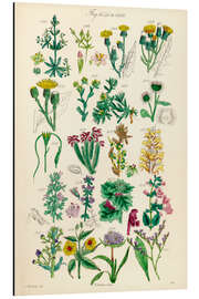Magnettafel Wildblumen, Fig. 1641-1660