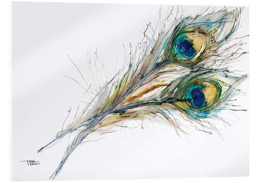 Akrylglastavla Two peacock feathers