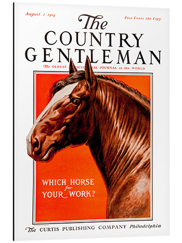 Alubild Country Gentleman (Pferd)