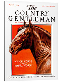 Tableau en aluminium Country Gentleman (horse)