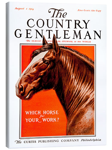 Canvas print Country Gentleman (horse)