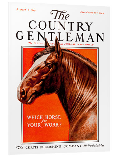 PVC print Country Gentleman (horse)