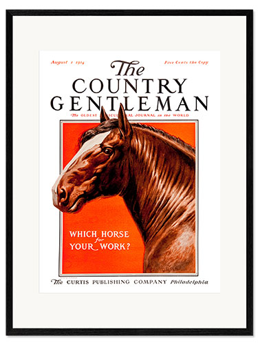Impression artistique encadrée Country Gentleman (horse)