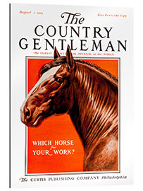 Galleritryk Country Gentleman (horse)