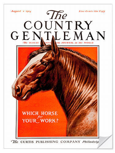 Vinilo para la pared Country Gentleman (horse)