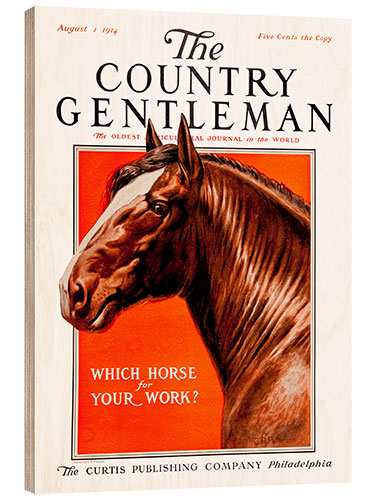 Wood print Country Gentleman (horse)