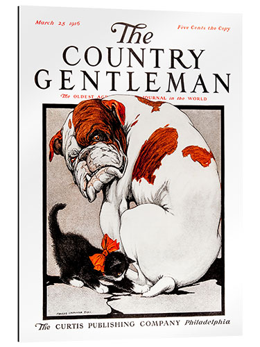 Gallery print Country Gentleman (Bulldog)