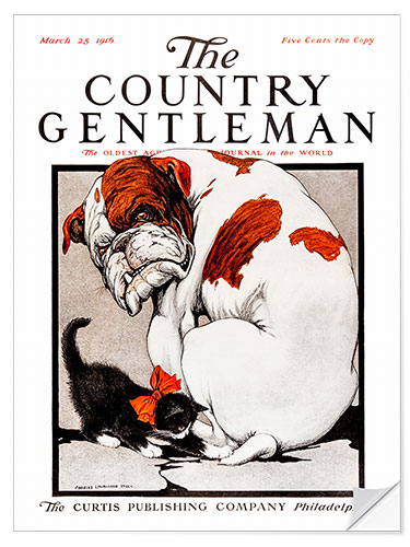 Sticker mural Country Gentleman (Bulldog)