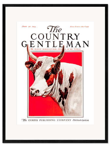 Kunsttryk i ramme Country Gentleman (Cow)