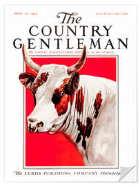 Selvklebende plakat Country Gentleman (Cow)