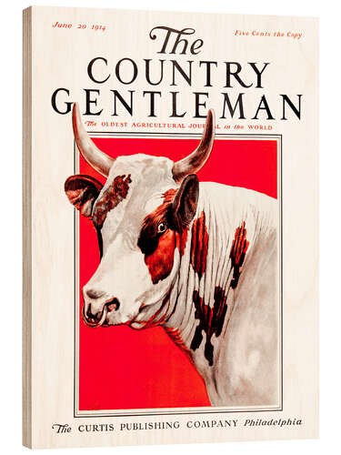 Puutaulu Country Gentleman (Cow)