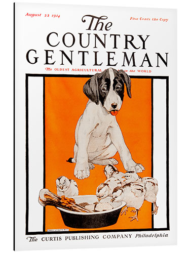 Tableau en aluminium Country Gentleman (dogs)