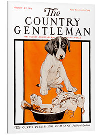 Alubild Country Gentleman (Hunde)