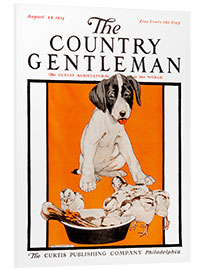 Foam board print Country Gentleman (dogs)