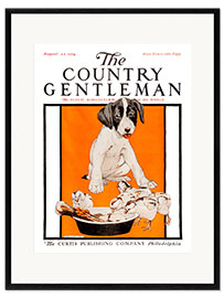 Framed art print Country Gentleman (dogs)