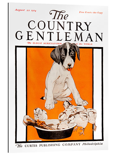 Cuadro de plexi-alu Country Gentleman (dogs)