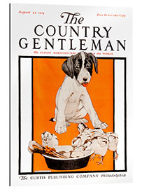 Quadro em plexi-alumínio Country Gentleman (dogs)