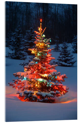 Acrylic print Christmas tree in snow