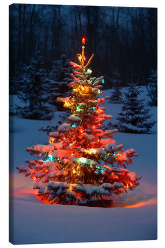 Lærredsbillede Christmas tree in snow