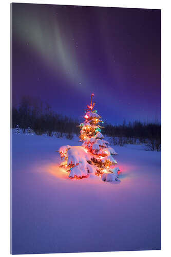 Akrylbilde Christmas tree and Northern Lights