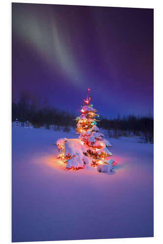 Foam board print Christmas tree and Northern Lights