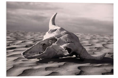 Quadro em PVC Skull in the desert