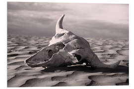 Foam board print Skull in the desert